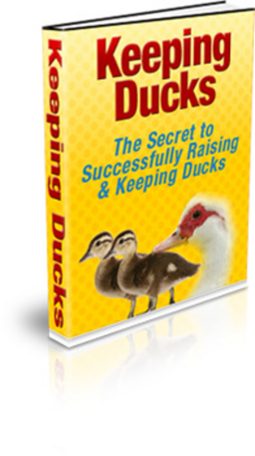 Product picture Keeping Ducks  With MRR