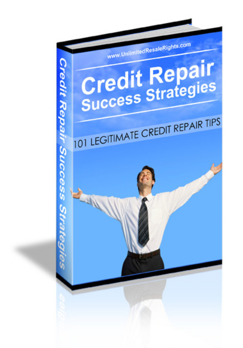 Product picture Credit Repair Strategies